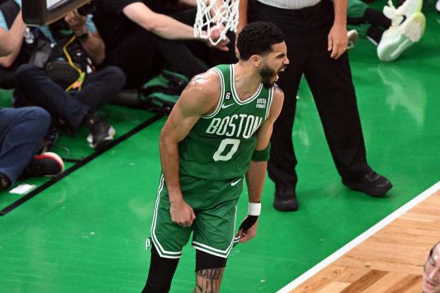 Boston Celtics Basketballs - Boston Celtics History