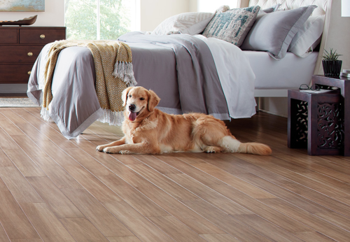 Laminate Flooring