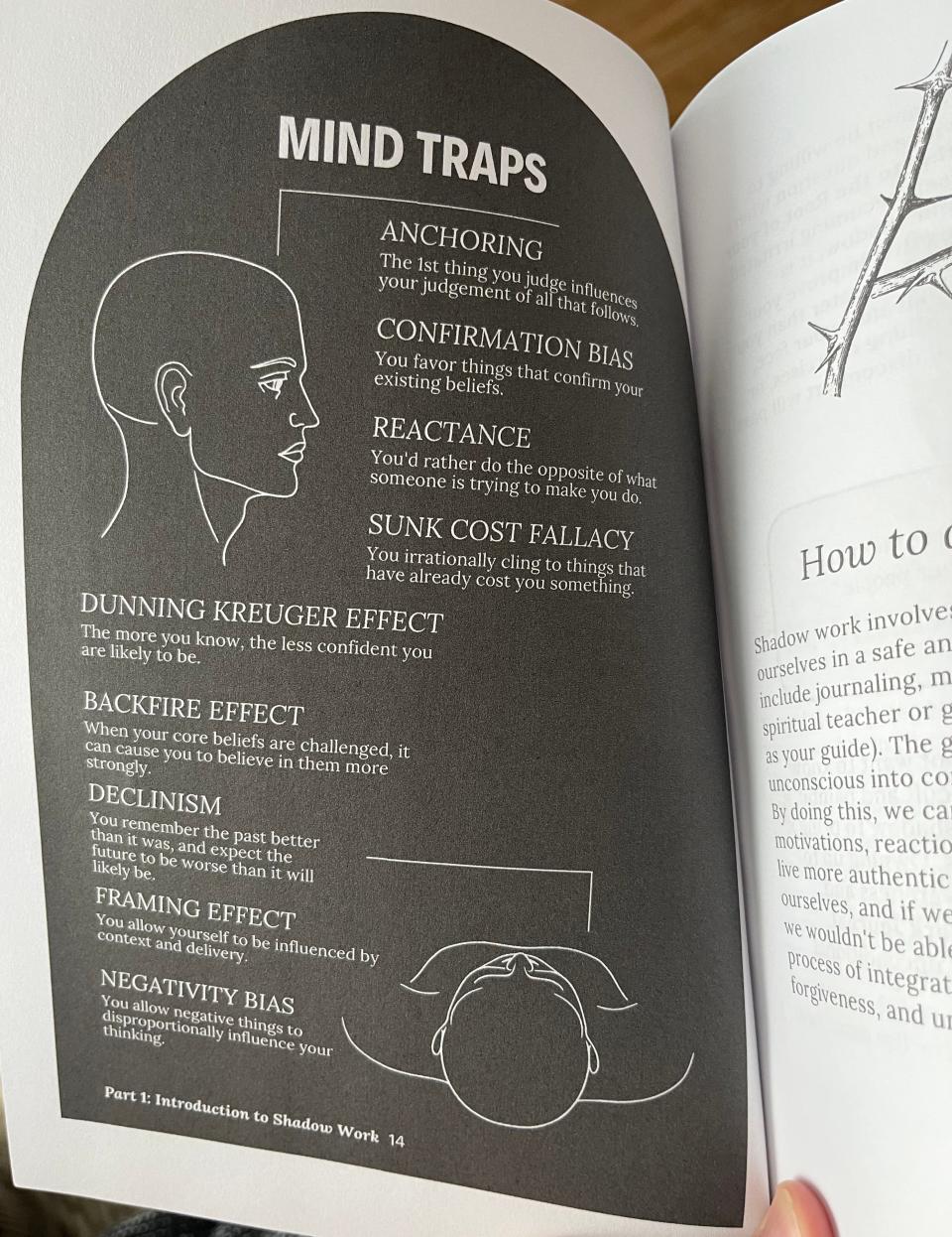 A list of mind traps in the shadow-work journal