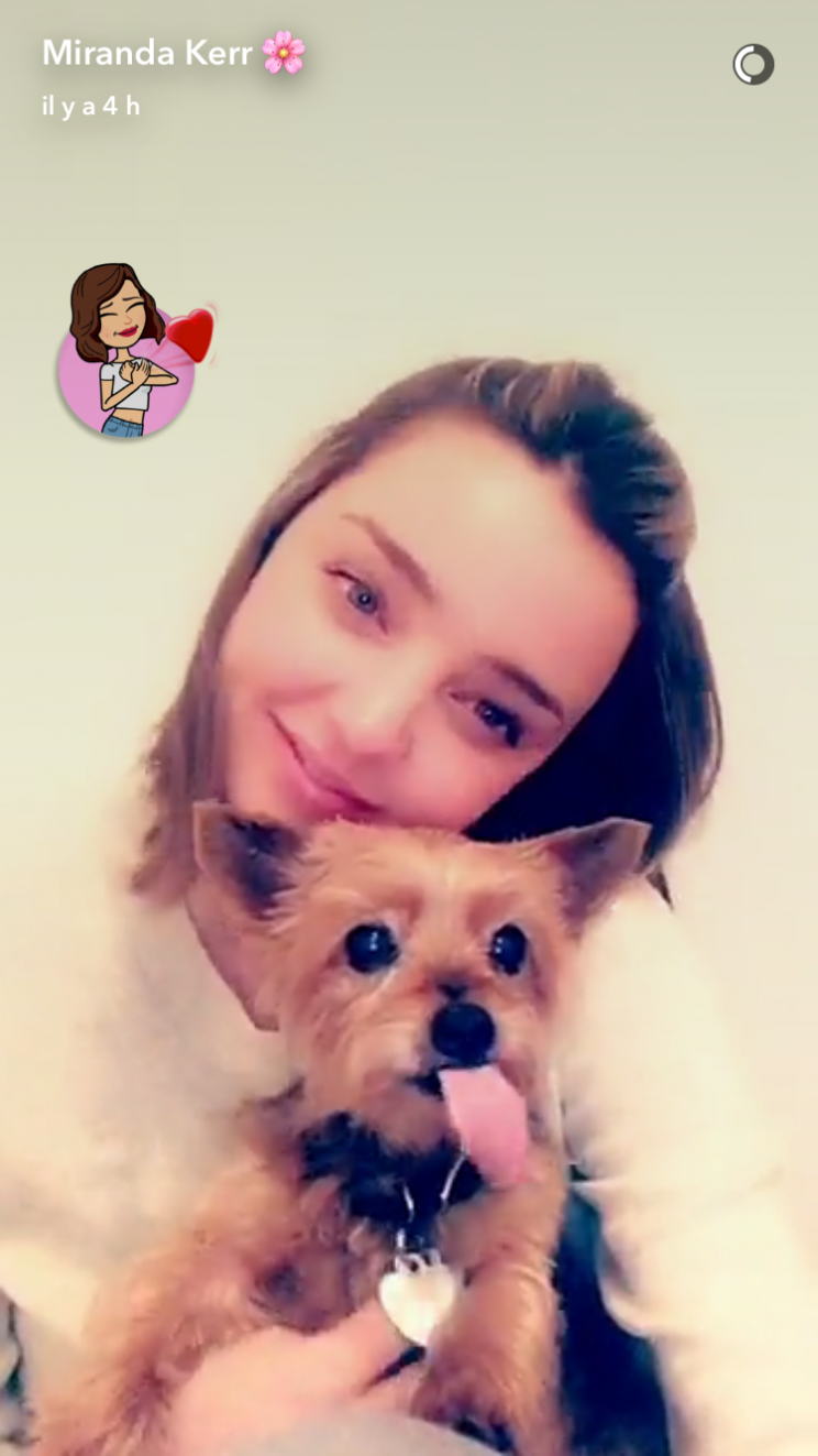 <p>Miranda Kerr, chérie du PDG de Snapchat Evan Spiegel, essaie-t-elle de faire passer un message à son amoureux pour qu’il crée un filtre “chien à la langue qui pend” ?</p>