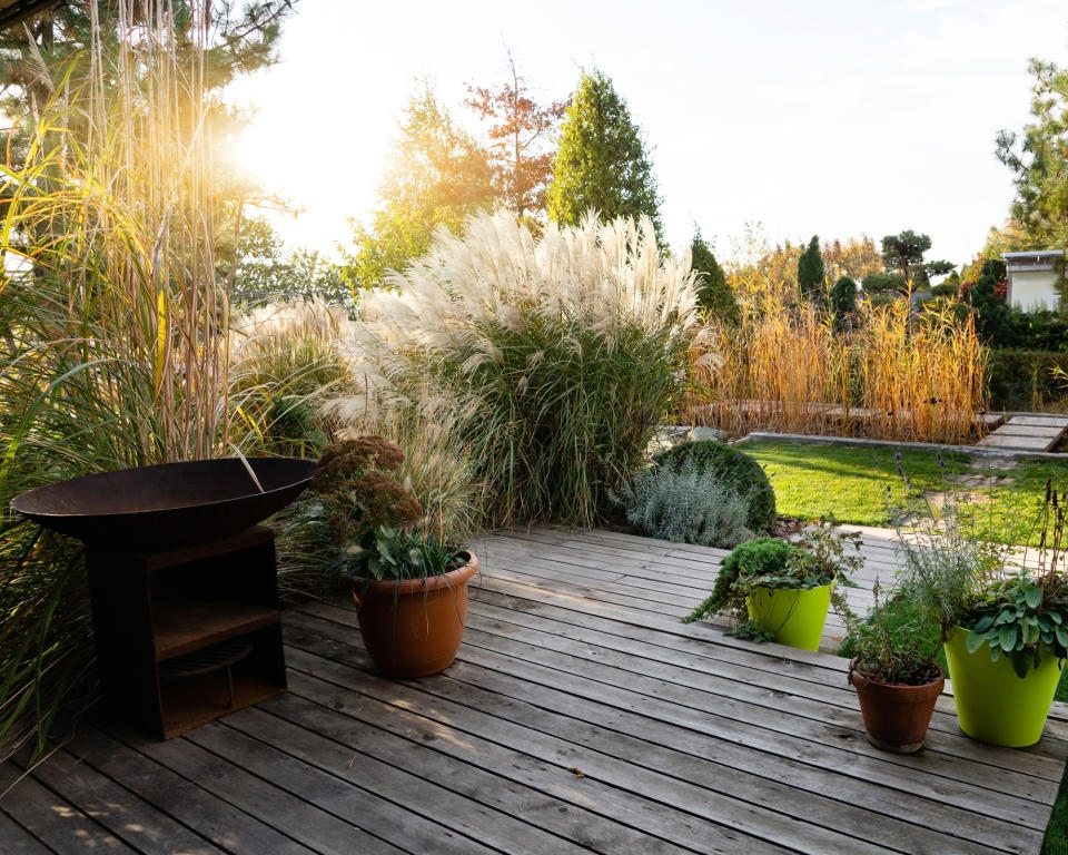 18. Use the show-stopping potential of grasses