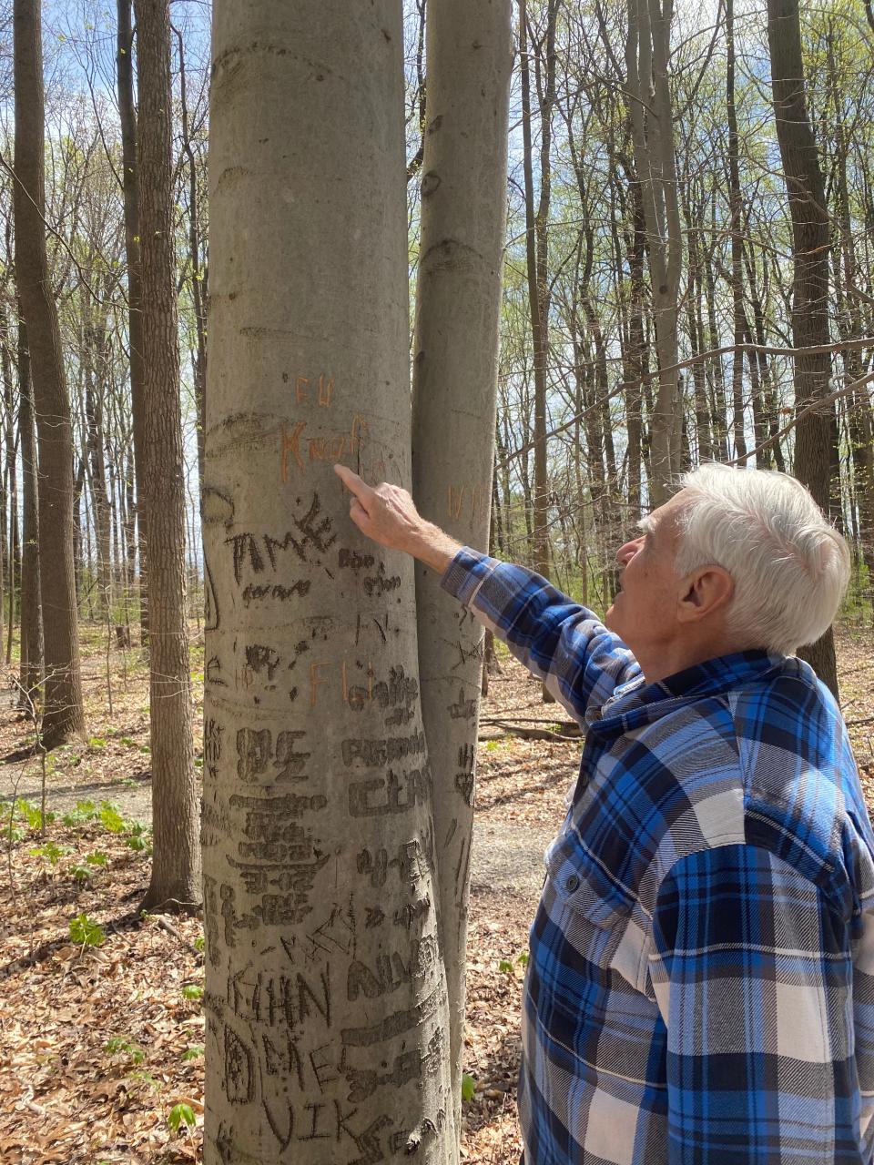 Whit Knopf points out carvings on a tree threatening the Iron Hill resident.