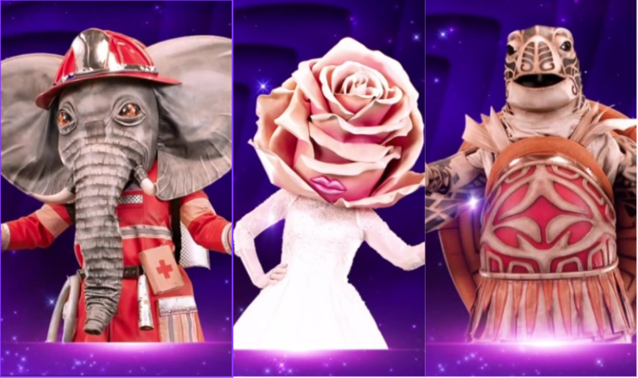 L’éléphant, la mariée et la tortue sont les trois finalistes de Mask Singer.