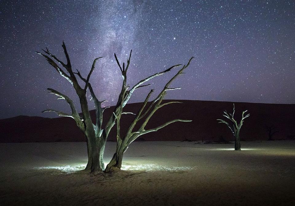 <p>900-year-old trees glow under the night sky in Sossusvlei, Namibia // September 2016</p>