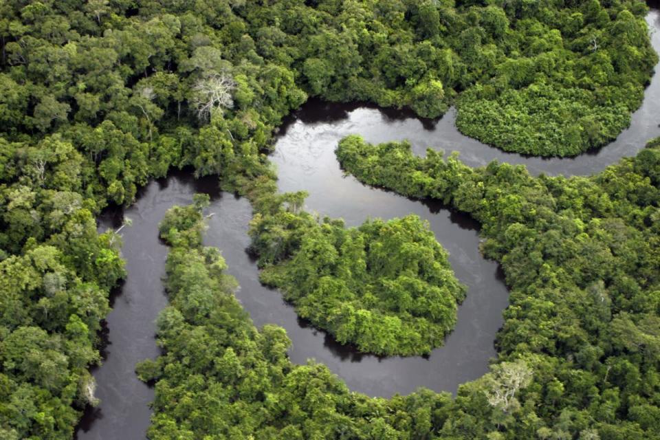 Evanouissez-vous dans la forêt péruvienne