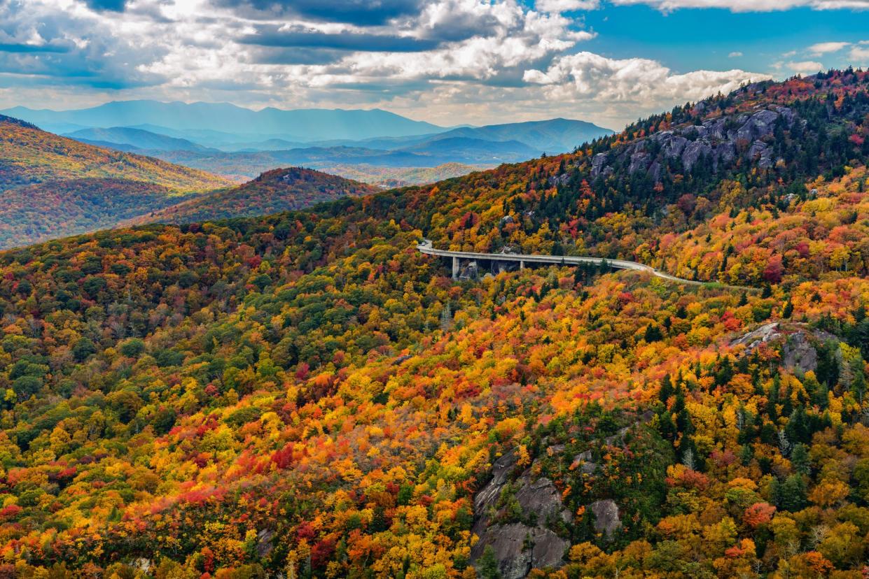 Aerial of Blue Ridge Parkway during fall, colorful leaves on trees, mountains off in the distance