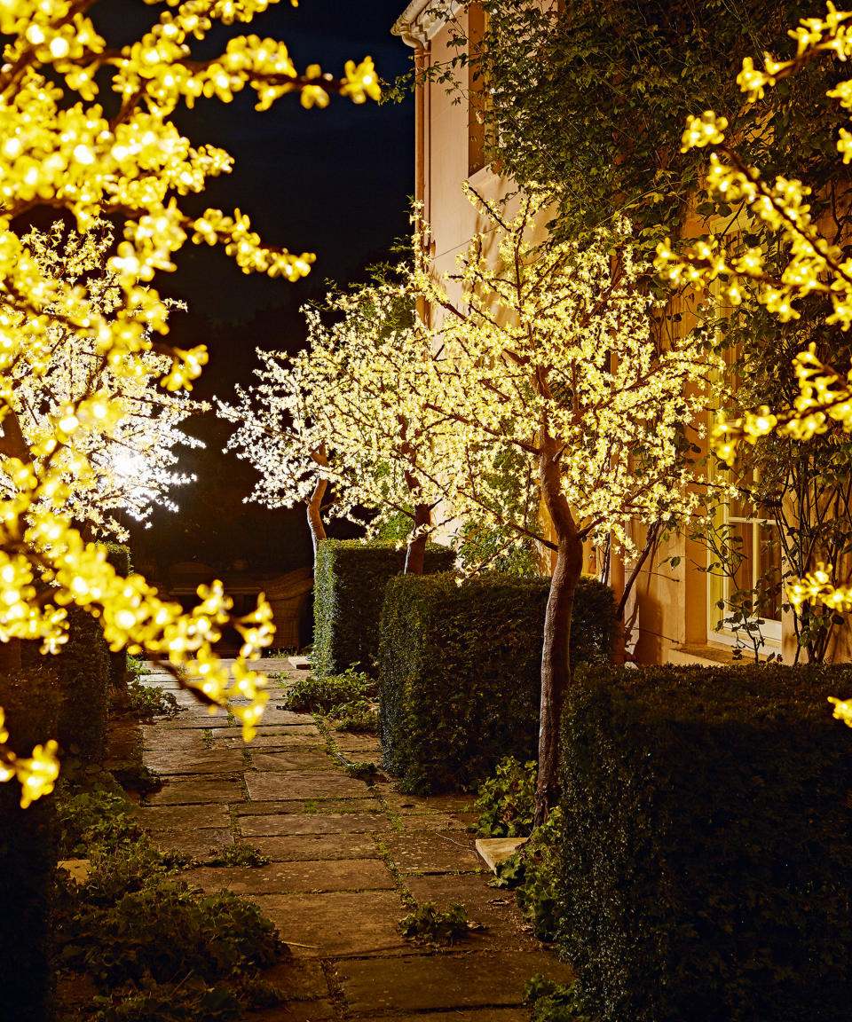 Garden lighting ideas