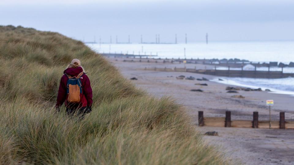 Seals can be spotted (in large numbers) along the cost between Winterton-On-Sea and Horsey