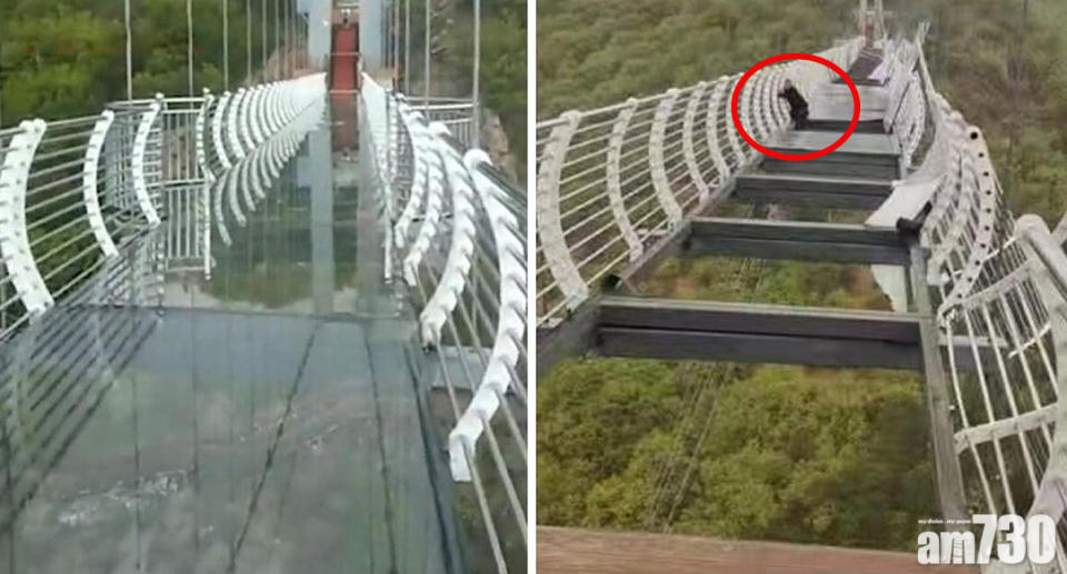 The tourist was forced to hang on to the bridge at Piyan Mountain after strong winds damaged the glass bottom. Source: Twitter/@MattCKnight