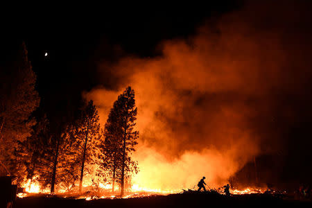 A firefighter battles the Ponderosa Fire east of Oroville, California. REUTERS/Noah Berger