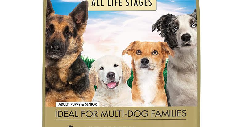 Canidae All Life Stages