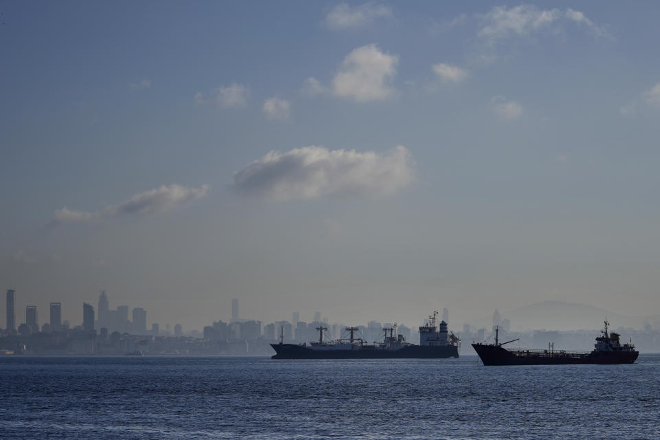 FILE - Cargo ships anchored in the Marmara Sea await to cross the Bosphorus Straits in Istanbul, Turkey, Tuesday, Nov. 1, 2022. The amount of grain leaving Ukraine has dropped even as a U.N.-brokered deal works to keep food flowing to developing nations, with inspections of ships falling to half what they were four months ago and a backlog of vessels growing as Russia's invasion nears the one-year mark. (AP Photo/Khalil Hamra, File)