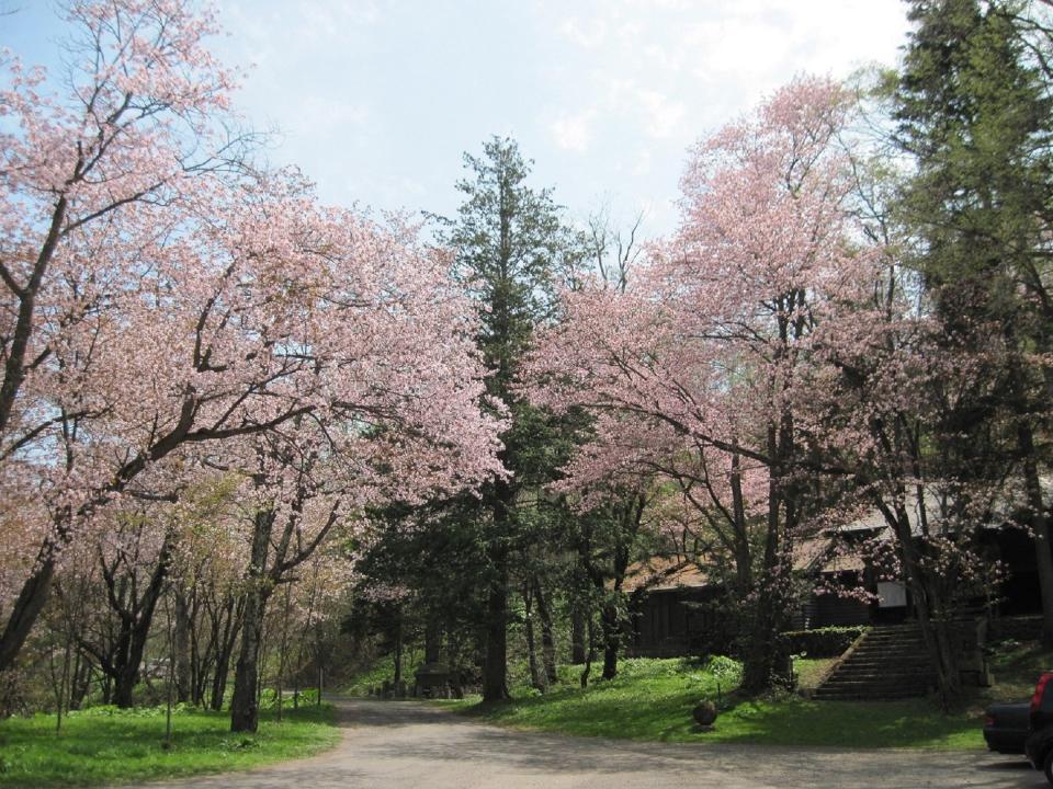 旭川公園