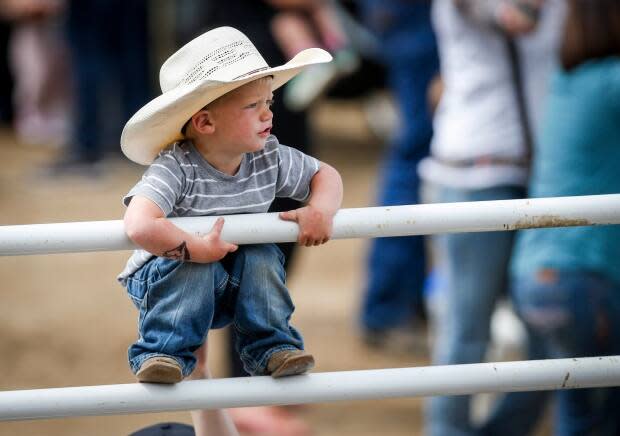 A young cowboy finds the perfect vantage point during bull riding rodeo action at the Calgary Stampede in 2019.