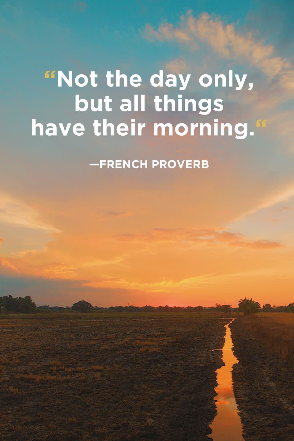 13) French Proverb