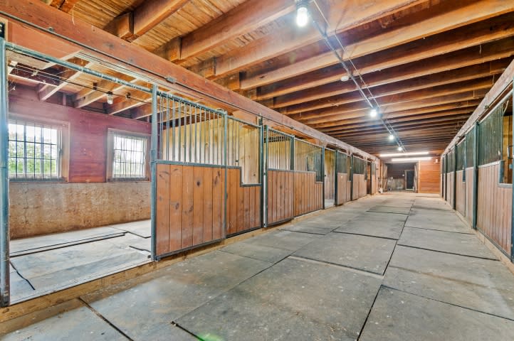 Equestrian Paradise