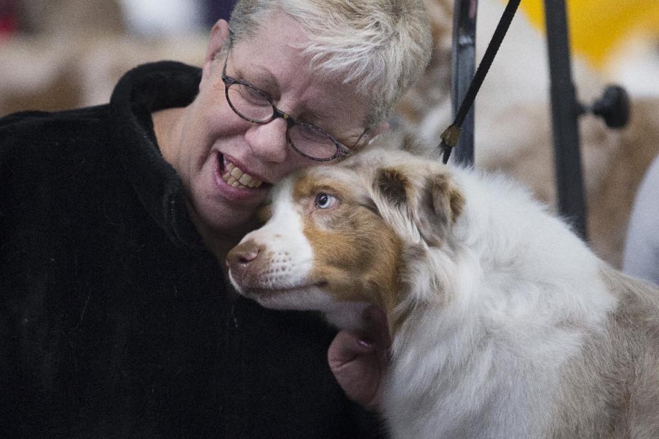 Kholoe, an Australian Shepherd, nuzzles with handler Maureen Grentus in the benching area of Pier 94 during the Westminster Kennel Club dog show, Monday, Feb. 10, 2014, in New York. (AP Photo/John Minchillo)