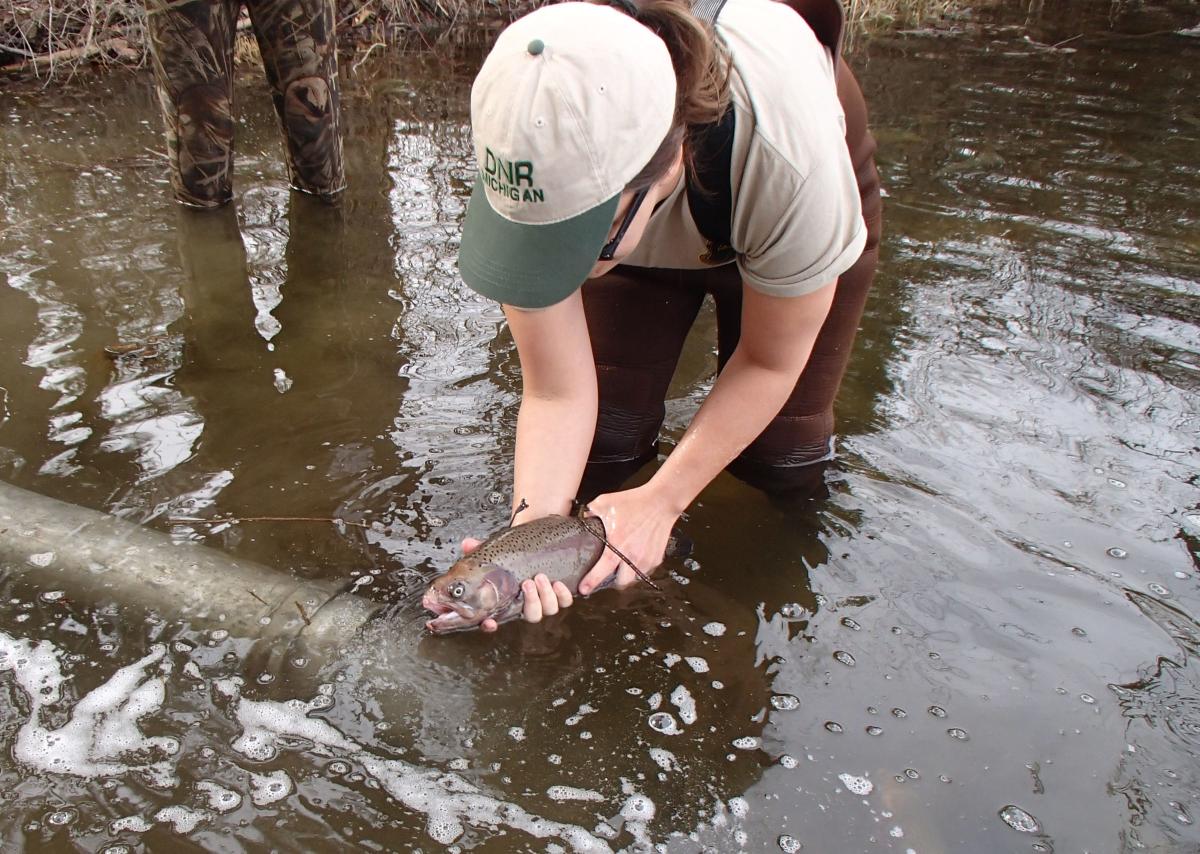 New master angler map targets prize fishing waters, GO