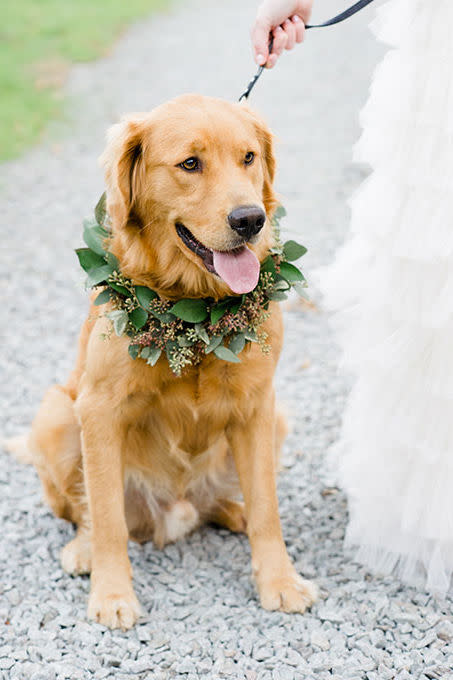 Simple Greenery Collar