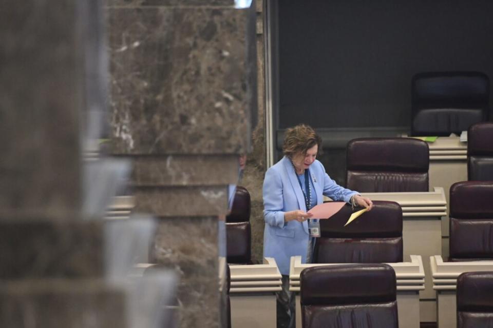 A woman reading through an agenda