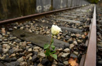 Eine weiße Rose steckt im Gleisbett von „Gleis 17“. Das Mahnmal im Berliner Stadtteil Grunewald erinnert an die tausenden ermordeten Juden, die von den Nazis ab Oktober 1941 von hier aus in Konzentrationslager deportiert wurden. (Bild: Rainer Jensen/EPA)