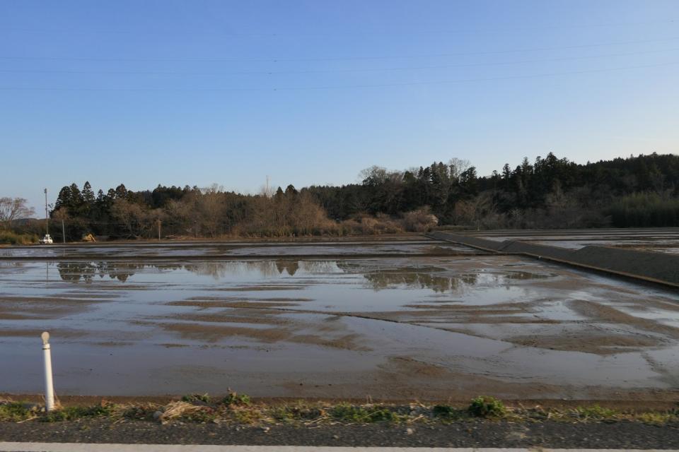 圖說 : 3月中旬，福島已進入春耕期，農民已經整地準備插秧。未來這些農產品會賣到哪裡去？雖然這些農田號稱已經除污，換了新土，但是有2個問題： 2) 週圍的林野輻射污染仍居高不下，這些農作物、食物可能出污泥而不染嗎？ 圖：方儉攝輻射是沒有最低安全限值的，國際上訂出輻射防護第一原則「正當性」，要利大於弊。因為再低量的輻射都有致癌可能，而且目前研究的多是體外曝露，變成食物吃下去，除了為了治病，必須做斷層顯影，要吃放射性的顯影劑外，沒有更好的、更正當的理由，在健康身理方面沒有科學證據吃了含放射性核種的食物會利大於弊。對日本食品完全不設防，在經濟、外交，或國防上有利大於弊的機會嗎？至少我很介意台灣豬肉銷日、CPTPP這兩個面子工程，開放了一年，有什麼進度、結果？