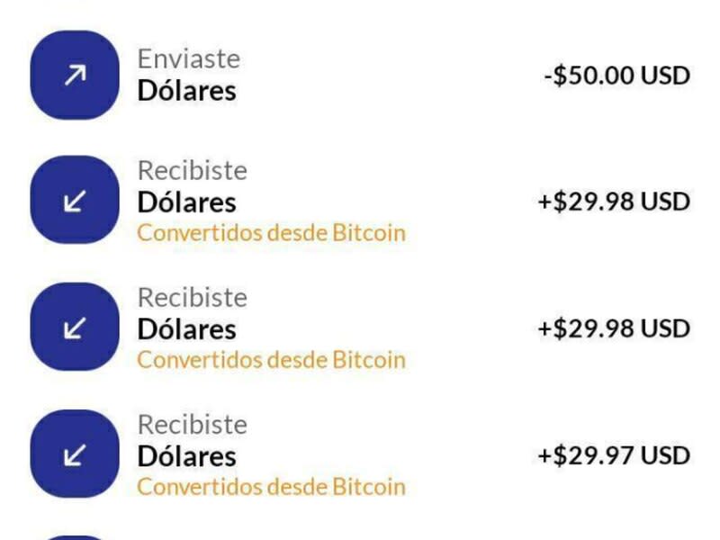 Transactions made from Michael Santacruz's wallet. (Gabriela Sosa)
