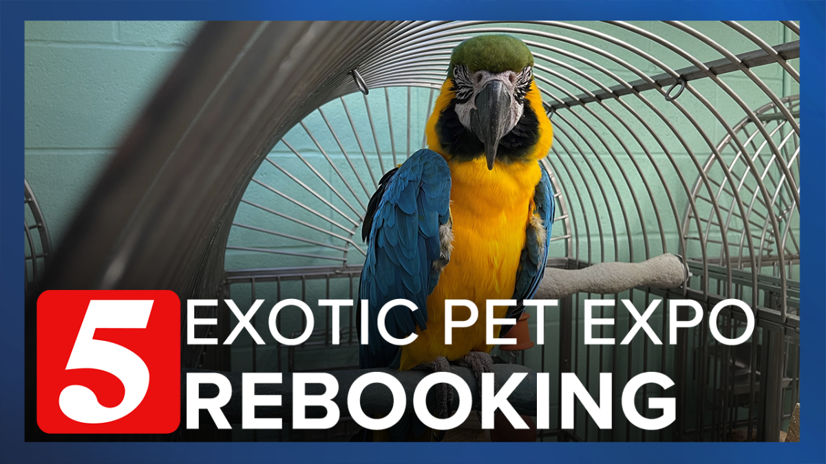 Longplanned Exotic Pet Expo bumped from spot at Fairgrounds Nashville