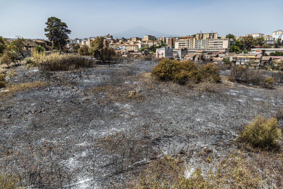 CATANIA, ITALY â AUGUST 01: A view of the aftermath of the wildfires as southern Italy still burning, the fires that have hit Sicily in recent days do not subside and new outbreaks are developing in many areas affected by a strong heat wave on August 01, 2021. The interventions carried out by the firefighters have no end in Sicily, they have been over 250 in the last 24 hours, many of these fires that have affected Catania have kept the firefighters busy until late at night, the numerous fires, including arson, have created too much damage by making the air unbreathable, making it necessary in some cases to evacuate the inhabitants and leading to the closure of the Catania airport for a few hours. Catania August 01, 2021. (Photo by Salvatore Allegra/Anadolu Agency via Getty Images)