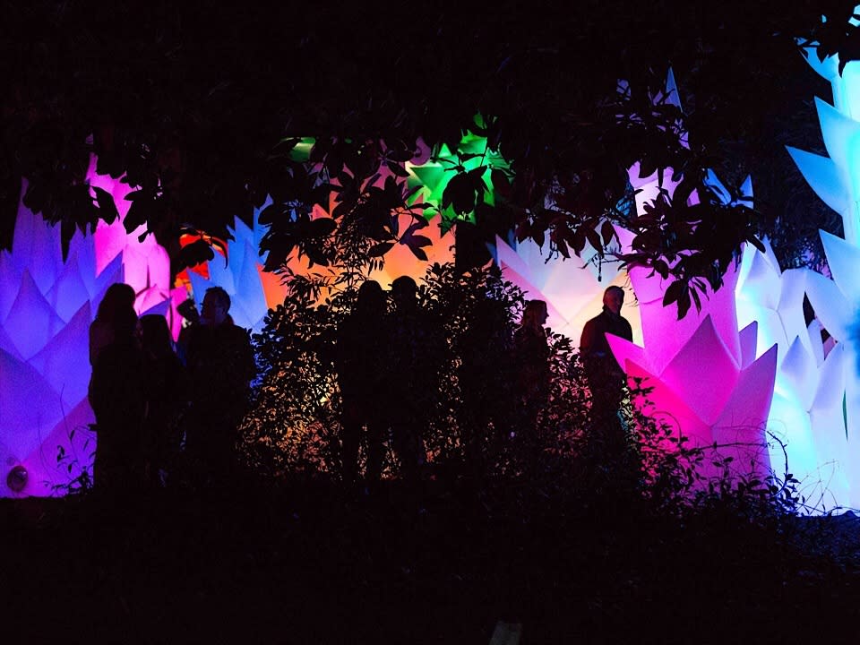 <p>Photo: Autumn Lights Festival/<a href="https://www.facebook.com/gardensatlakemerritt/photos/a.165530310130814/2969061293111021/?type=3&theater" rel="nofollow noopener" target="_blank" data-ylk="slk:Facebook;elm:context_link;itc:0;sec:content-canvas" class="link ">Facebook</a></p>