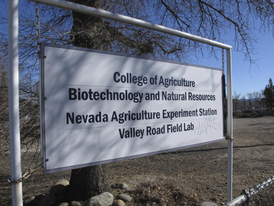 A sign is pictured outside a greenhouse at the University of Nevada, Reno, where a rare desert wildflower is growing in this photo taken on Feb. 10, 2020 in Reno, Nevada. An Australian mining company that wants to mine lithium in the high desert 200 miles southeast of Reno, the only place the rare Tiehm's buckwheat is known to exist in the world. (AP Photo/Scott Sonner)