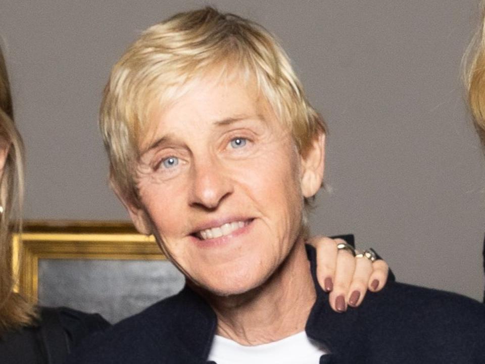 DeGeneres in February this year (Jason Sean Weiss/BFA.com/Shutterstock)