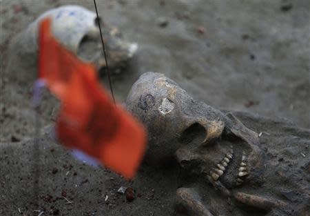 Marked human skulls are seen at a construction site in the former war zone in Mannar, about 327 km (203 miles) from the capital Colombo, January 16, 2014. REUTERS/Dinuka Liyanawatte