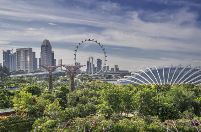 Image, to illustrate the story on the results of the e-Conomy SEA report, shows the Gardens By The Bay against the Singapore skyline, including building such as the Singapore Flyer and Ritz Carlton. 