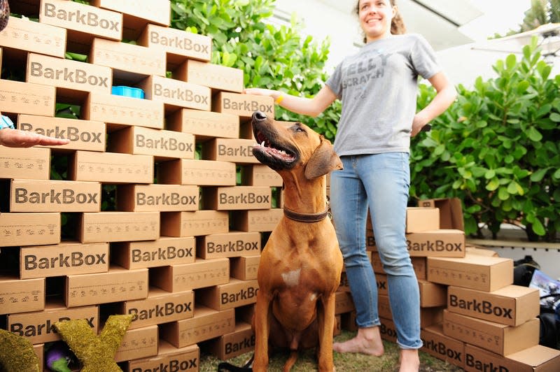 BarkBox on display at Yappie Hour presented by BarkBox hosted by Rachael Ray during the 2015 Food Network & Cooking Channel South Beach Wine & Food Festival presented by FOOD & WINE at The Standard Spa on February 21, 2015 in Miami Beach, Florida. - Photo: Sergi Alexander (Getty Images)