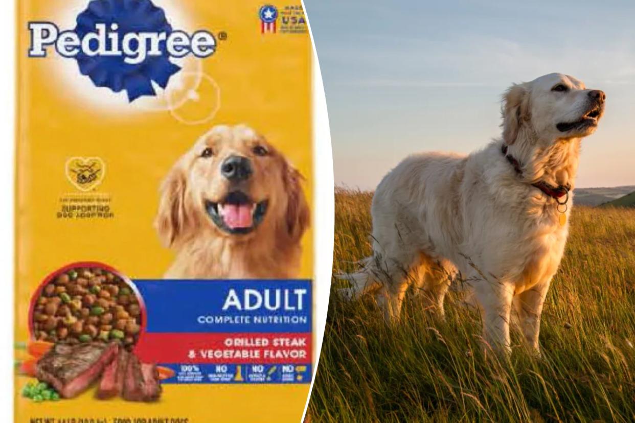 A widely popular brand of dog food was recalled for having loose pieces of metal found in its bags.
