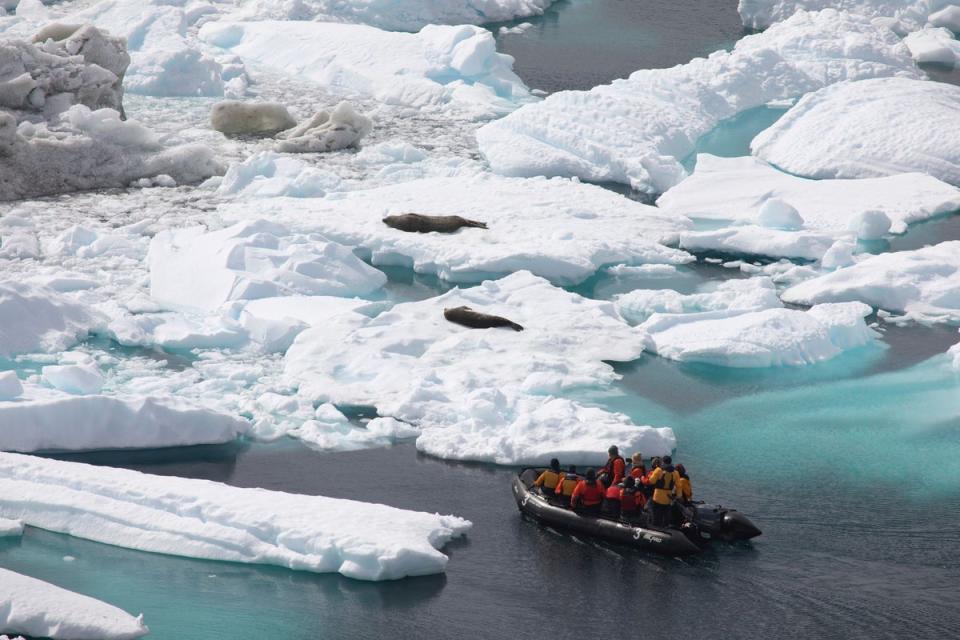 On board Zodiac boats you will see seals and emperor penguins (Ultimate Travel Company)