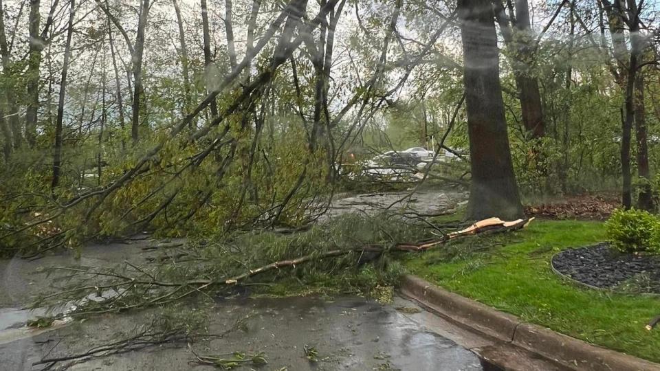 PHOTO: Tree damage is seen in Kalamazoo, Michigan, after a storm, May 7, 2024. (Jim Hollis)