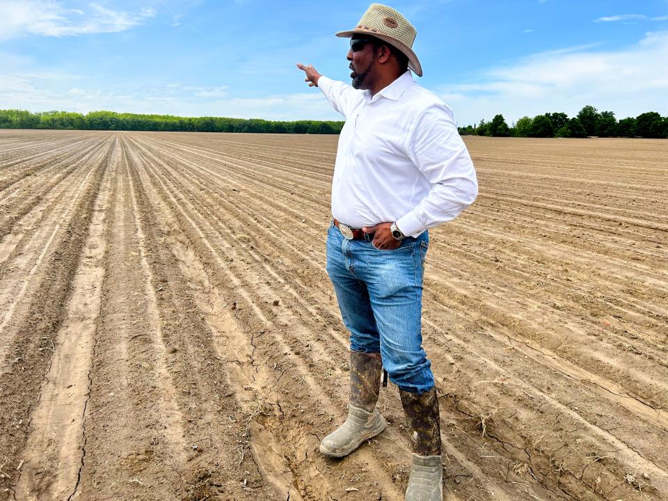 PJ Haynie stands in one of his rice fields in Arkansas.