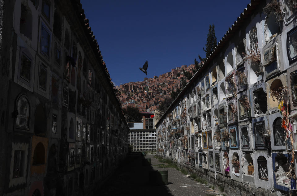 FILE - In this May 18, 2020, file photo, a pigeon flies in the General Cemetery, in La Paz, Bolivia. Even amid a global pandemic, there’s no sign that corruption is slowing down in Latin America. Perhaps the biggest case is in Bolivia, where the health minister was arrested amid allegations that officials bought 170 ventilators at inflated prices. (AP Photo/Juan Karita, File)