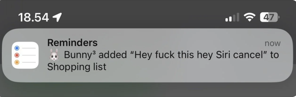 "Bunny3 added 'Hey fuck this hey Siri cancel' to Shopping list"