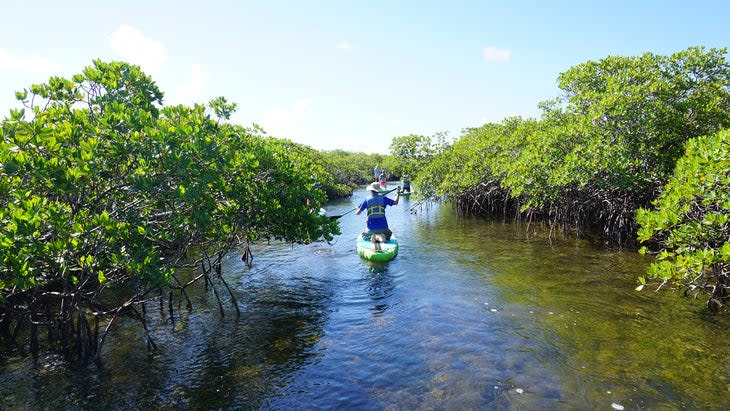 Biscayne National Park Institute