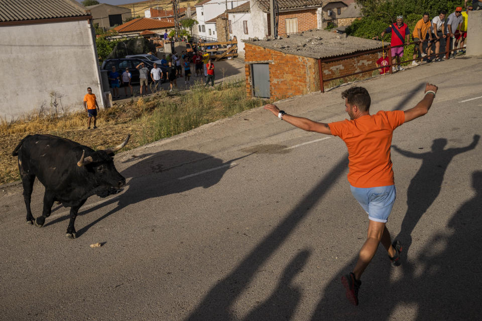 A reveler tempts a bull during a running of the bull festival in the village of Atanzon, central Spain, Monday, Aug. 29, 2022. The deaths of eight people and the injury of hundreds more after being gored by bulls or calves have put Spain’s immensely popular town summer festivals under scrutiny by politicians and animal rights groups. There were no fatalities or injuries in Atanzon. (AP Photo/Bernat Armangue)