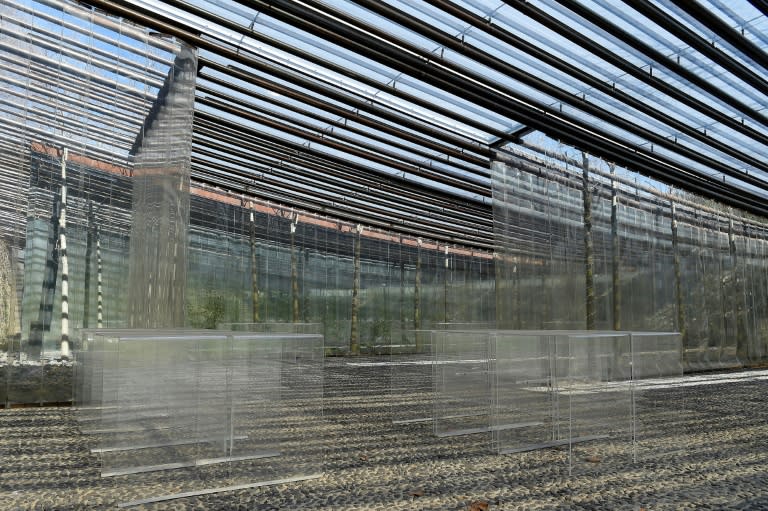 A picture taken in Olot on March 2, 2017 shows a room of the restaurant "les Cols" designed by Spanish firm RCR Architects