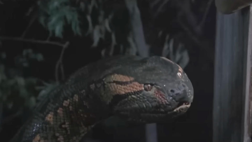 Anaconda (1997)