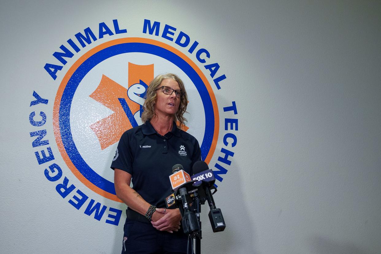 The Arizona Humane Society's director of field operations, Tracey Miiller, speaks to the media at the Humane Society's South Mountain location in Phoenix on Sept. 23, 2023. She informed the press about an operation with the Chandler Police Department to seize 55 dogs during a rescue the day before.