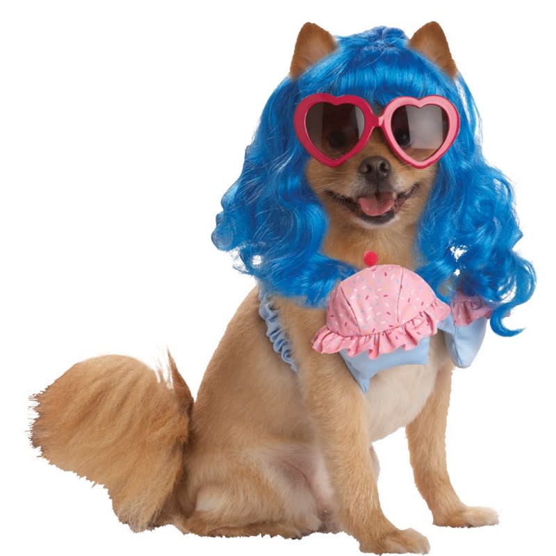 Photo by: Dog Halloween Costume Shop<br><br><b>Katy Perry</b> <br> This pup is a California girl for sure. <br> <b><i><a rel="nofollow noopener" href="http://blogs.babble.com/pets/2012/07/03/your-argument-is-invalid-15-animals-wearing-other-animals-ears/" target="_blank" data-ylk="slk:Related: 15 ridiculous photos of pets wearing other animals' ears;elm:context_link;itc:0;sec:content-canvas" class="link ">Related: 15 ridiculous photos of pets wearing other animals' ears</a></i></b>