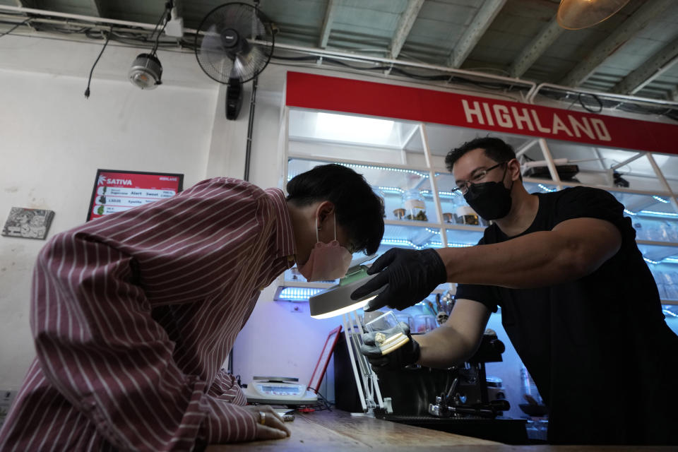 Un cliente examina un capullo de marihuana en el Highland Café de Bangkok (Tailandia), donde el cultivo y el consumo de la hierba ha sido legalizado. (AP Photo/Sakchai Lalit)