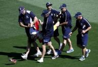 Police carry a protester from the field before the start of the Cricket World Cup final match between Australia and New Zealand at the Melbourne Cricket Ground (MCG) March 29, 2015. REUTERS/David Gray