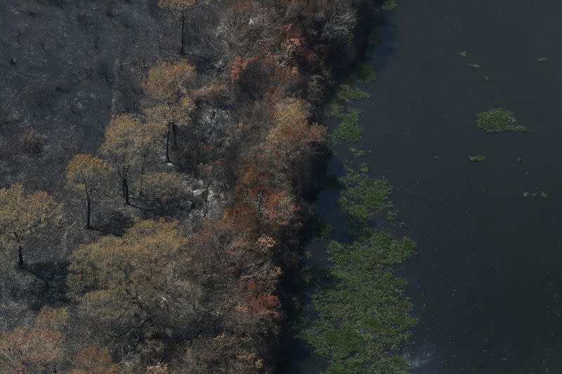 An aerial view shows burnt trees near a river in The Pantanal, the world's largest wetland, in Pocone